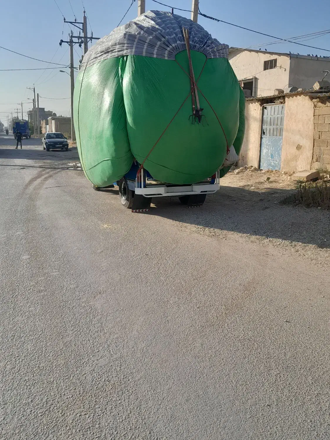 کاه|حیوانات مزرعه|شیراز, داریون|دیوار