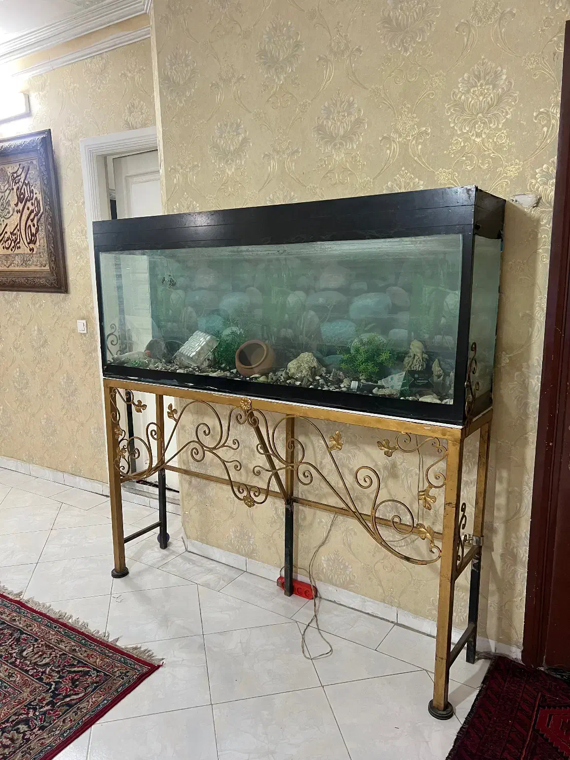 اکواریوم|ماهی|مشهد, فردوسی|دیوار