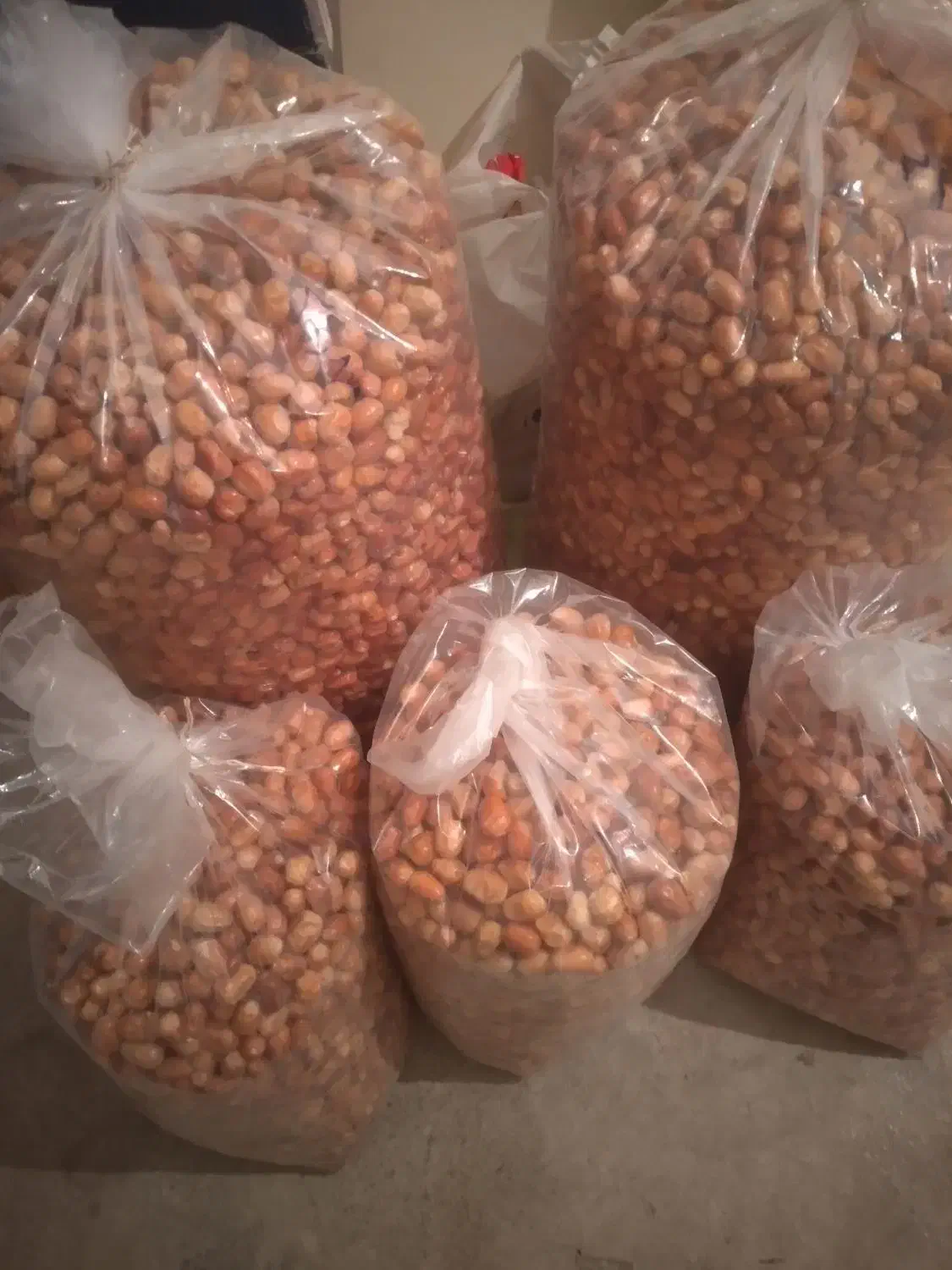 سنجد نو|خوردنی و آشامیدنی|گلپایگان, |دیوار