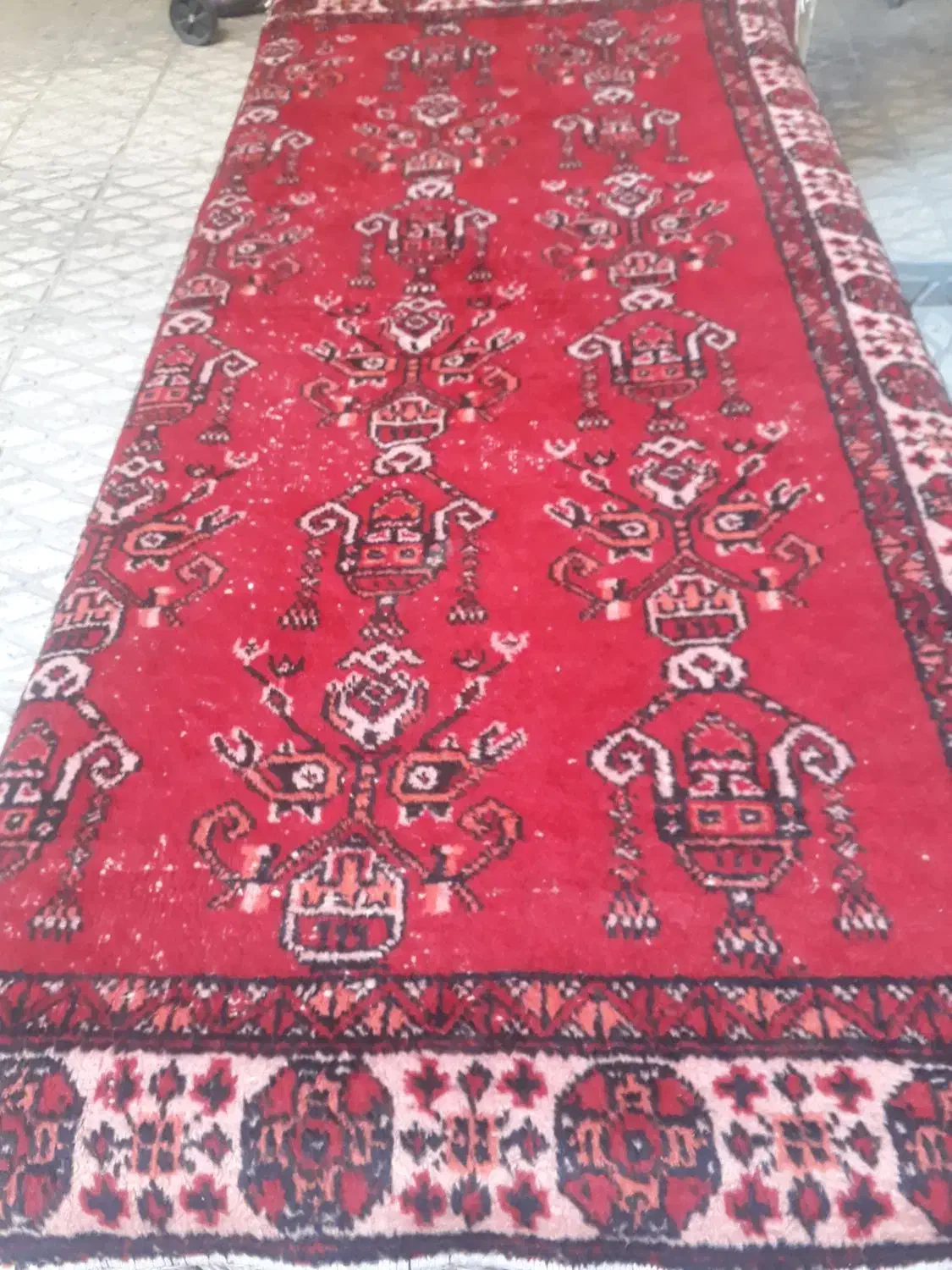 قالیچه دستباف|فرش|تهران, گرگان|دیوار