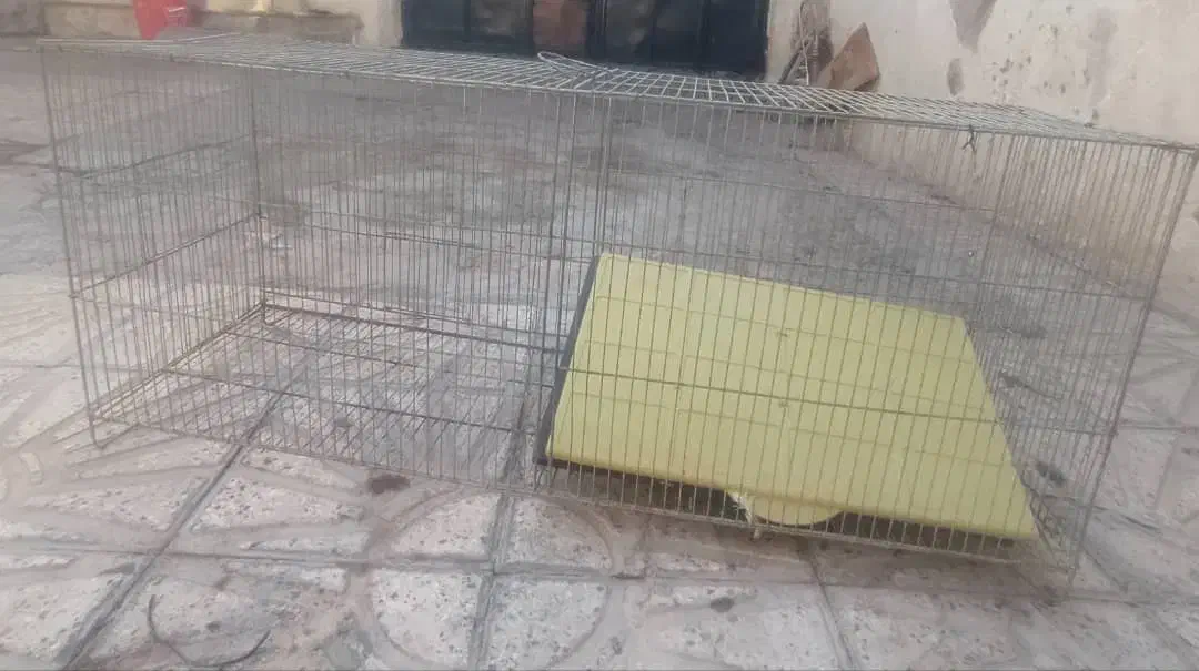 قفس دو قلو پرنده|لوازم جانبی حیوانات|مرودشت, ژیان|دیوار