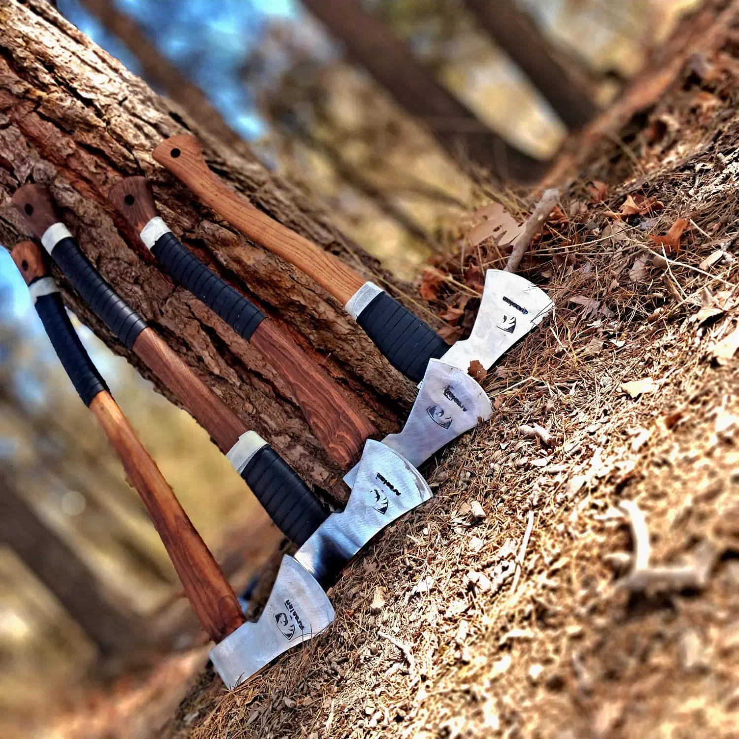 تیز و برنده|ابزارآلات|سبزوار, قصبه غربی|دیوار