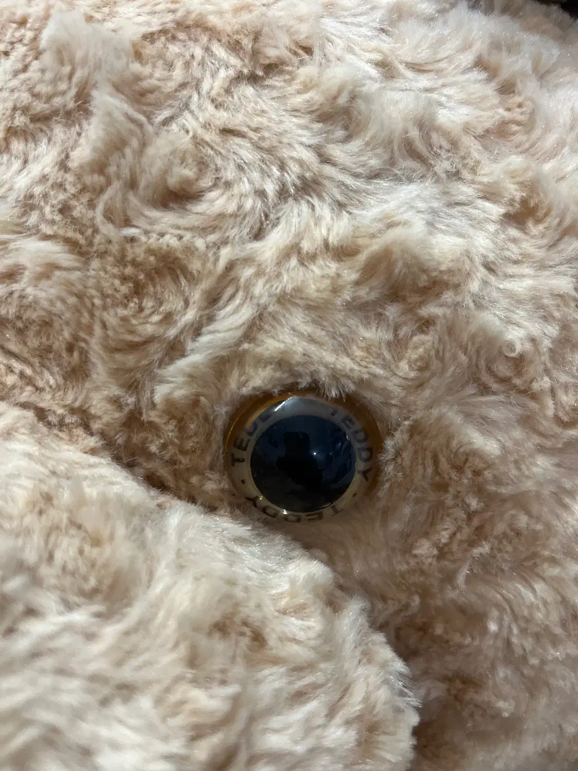 خرس تدی اصل|اسباب‌‌بازی|مشهد, هنرستان|دیوار