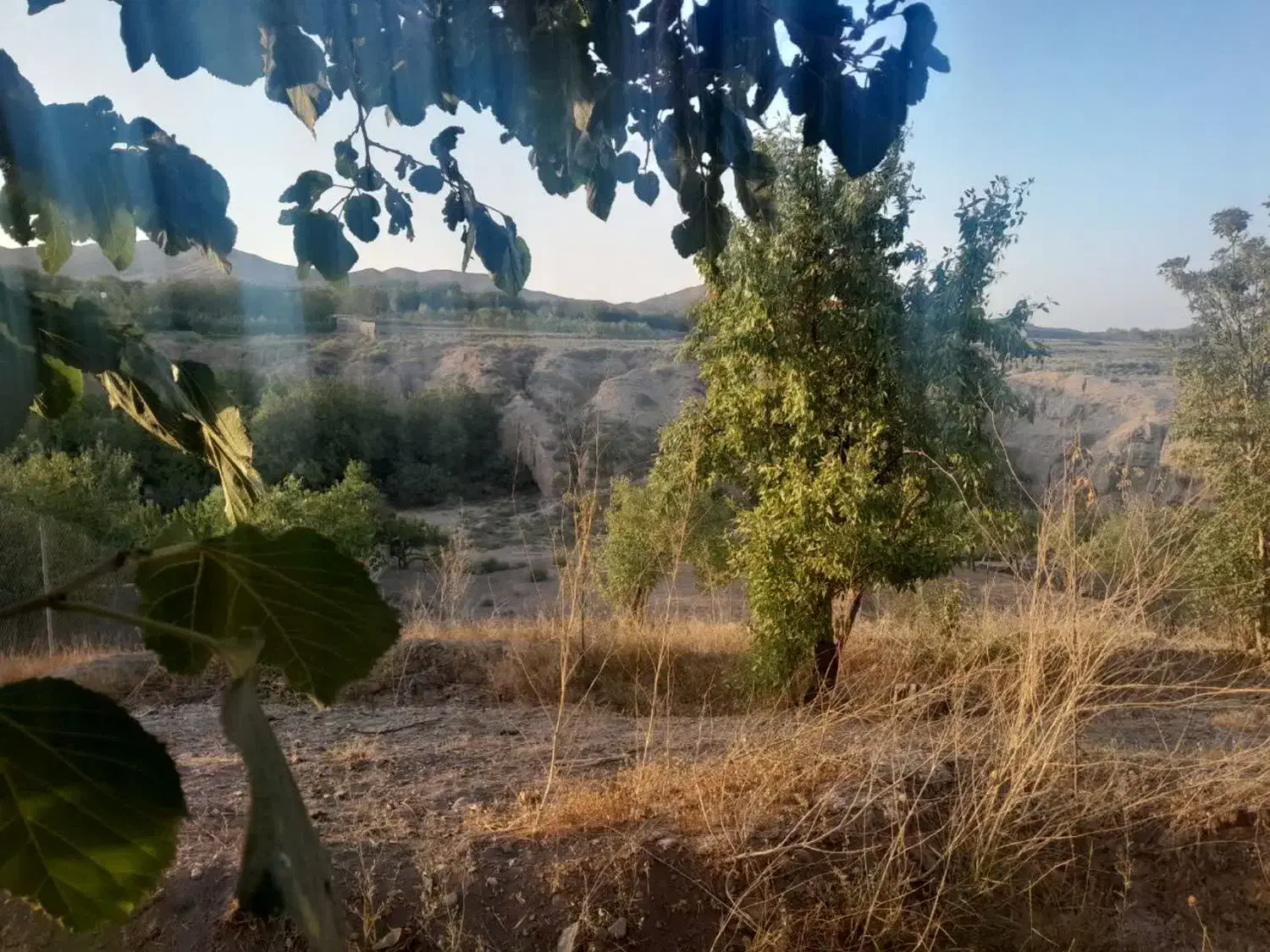 باغ ۱۱۰۰ متری با ویو رودخونه فنس کشی شده|فروش زمین و ملک کلنگی|خلجستان, |دیوار