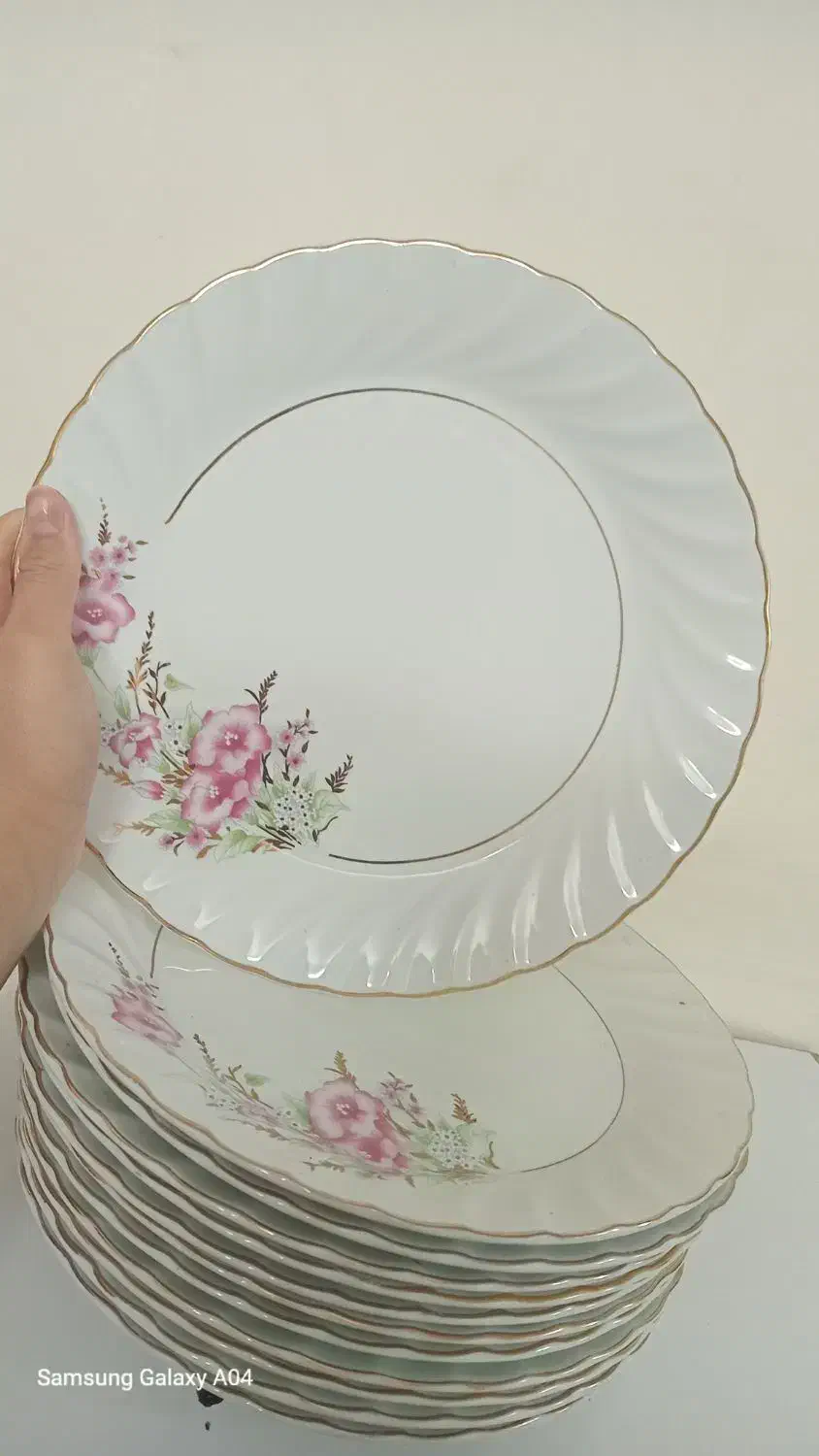 ۱۲ عدد بشقاب چینی گل صورتی|ظروف سرو و پذیرایی|فولادشهر, A3|دیوار