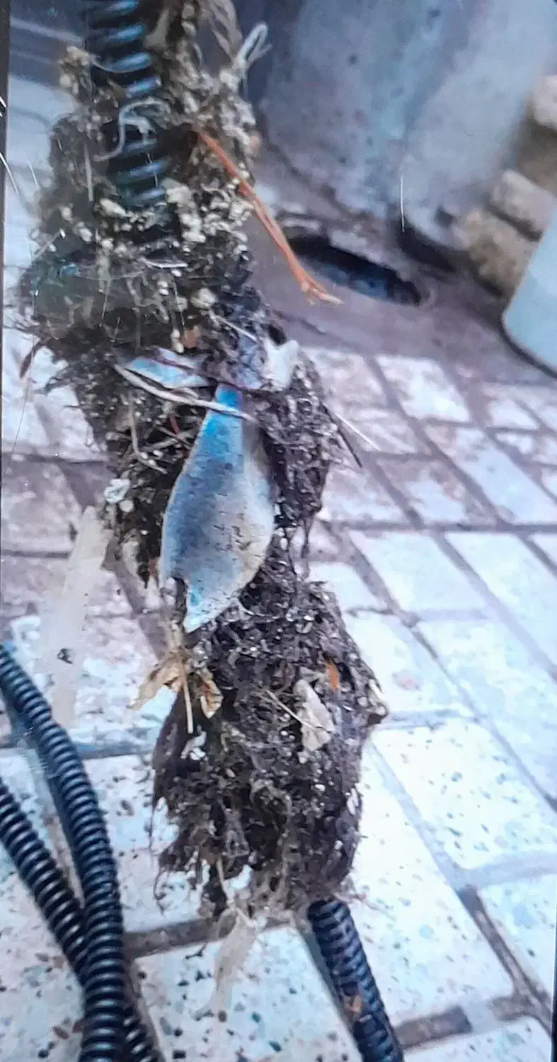 لوله بازکنی|خدمات پیشه و مهارت|بیرجند, |دیوار