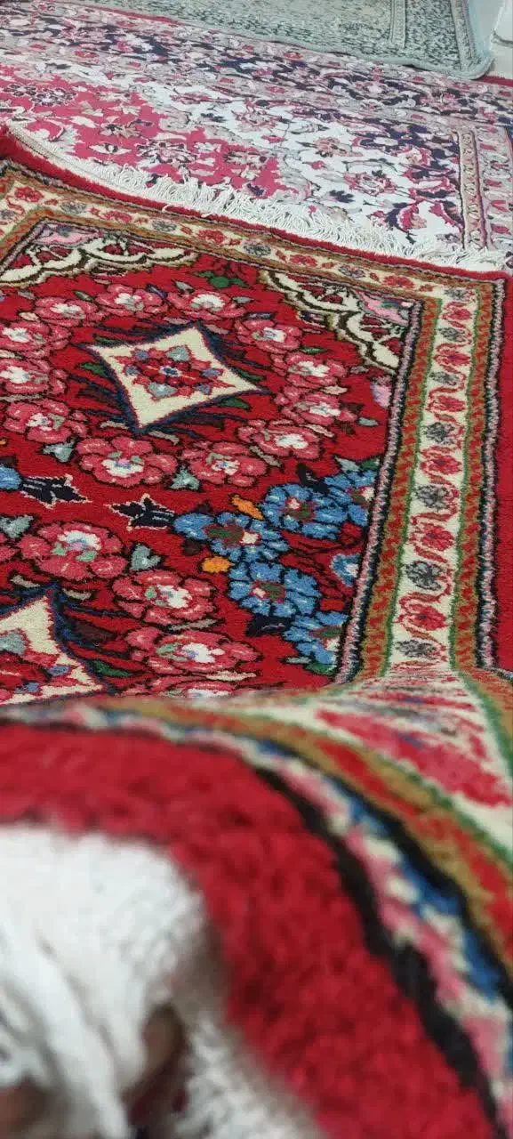 فرش دست بافت|فرش|تهران, آهنگران (سراسیاب دولاب)|دیوار