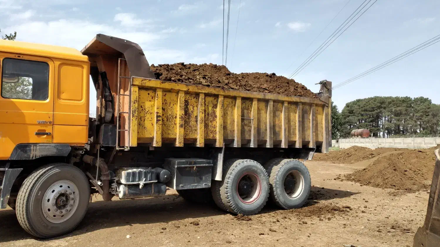 کود|خدمات باغبانی و درختکاری|پیشوا, |دیوار