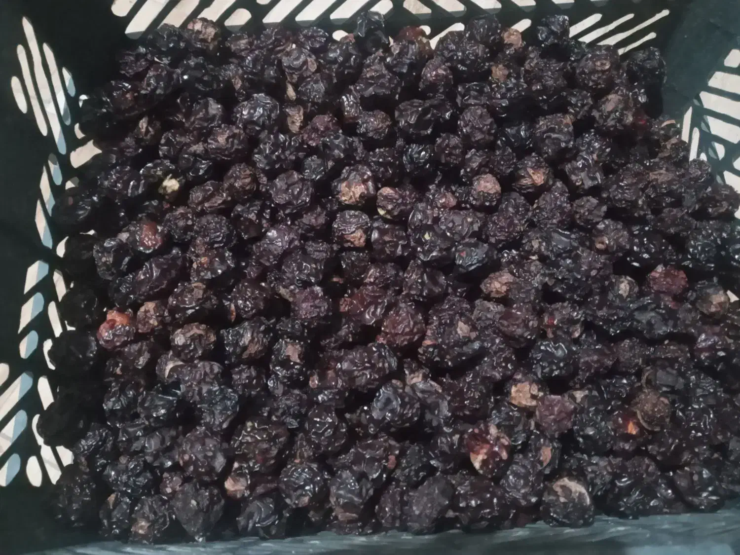 آلوچه مراغه|خوردنی و آشامیدنی|میاندوآب, |دیوار