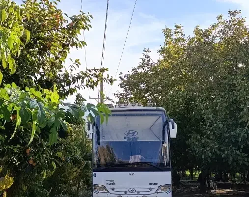 اتوبوس هیوندای غزال موتور بنز گیربکس ۶ دنده zf|خودرو سنگین|آفتاب, |دیوار