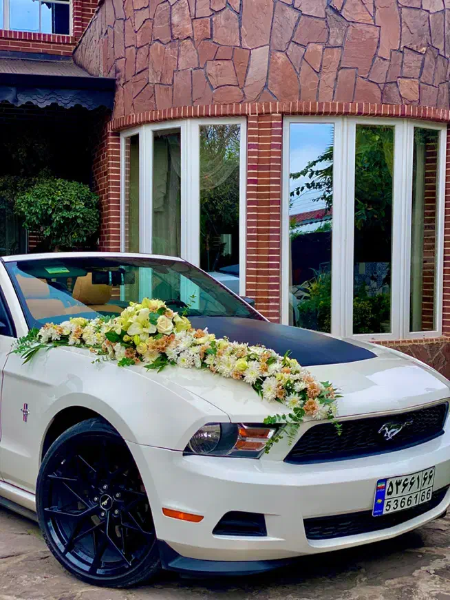 اجاره فورد موستانگ کروک|خدمات پذیرایی، مراسم|رشت, استقامت ۱|دیوار