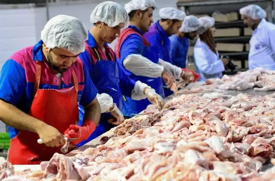 بیخص کار|استخدام خدمات فروشگاه و رستوران|تهران, شهرک صدرا|دیوار