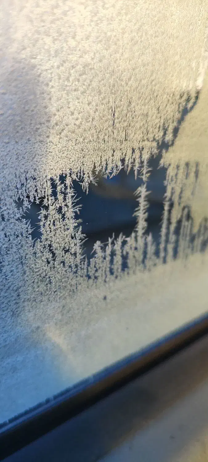 عکاسی|دوربین عکاسی و فیلم‌برداری|کرمانشاه, |دیوار