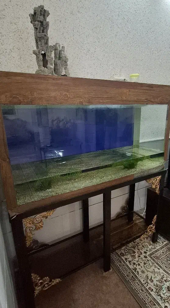 آکواریوم ابعاد ۱۳۵×۷۵×۴۰|ماهی|سمنان, |دیوار