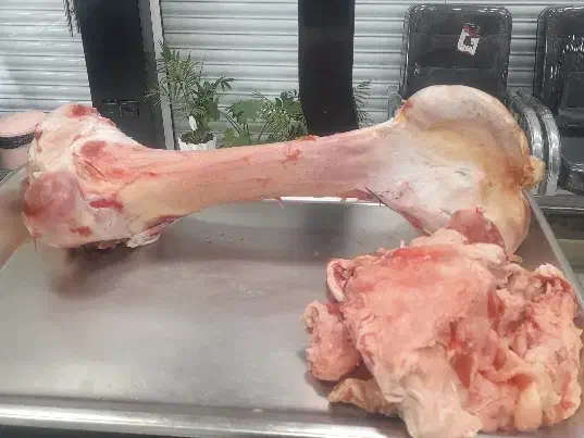 پاچه،قلم و سیرابی گوساله|خوردنی و آشامیدنی|نجفآباد, شریعتی غربی|دیوار