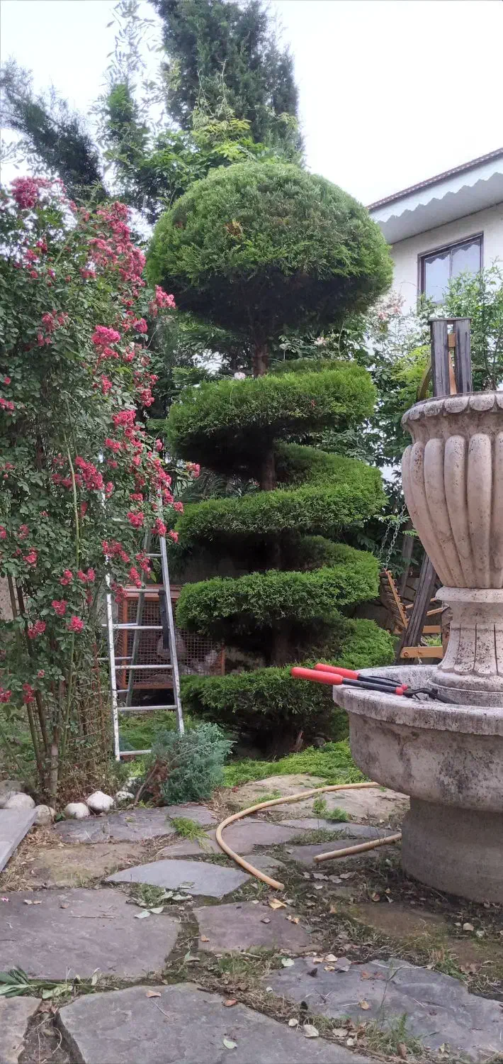 خدمات باغبانی ،هرس و غیره|خدمات باغبانی و درختکاری|اسالم, |دیوار