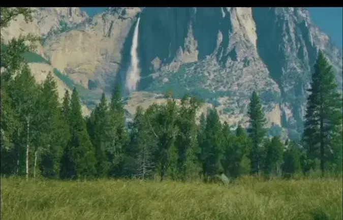 کاش داشت برداشت|خدمات باغبانی و درختکاری|ابریشم, |دیوار