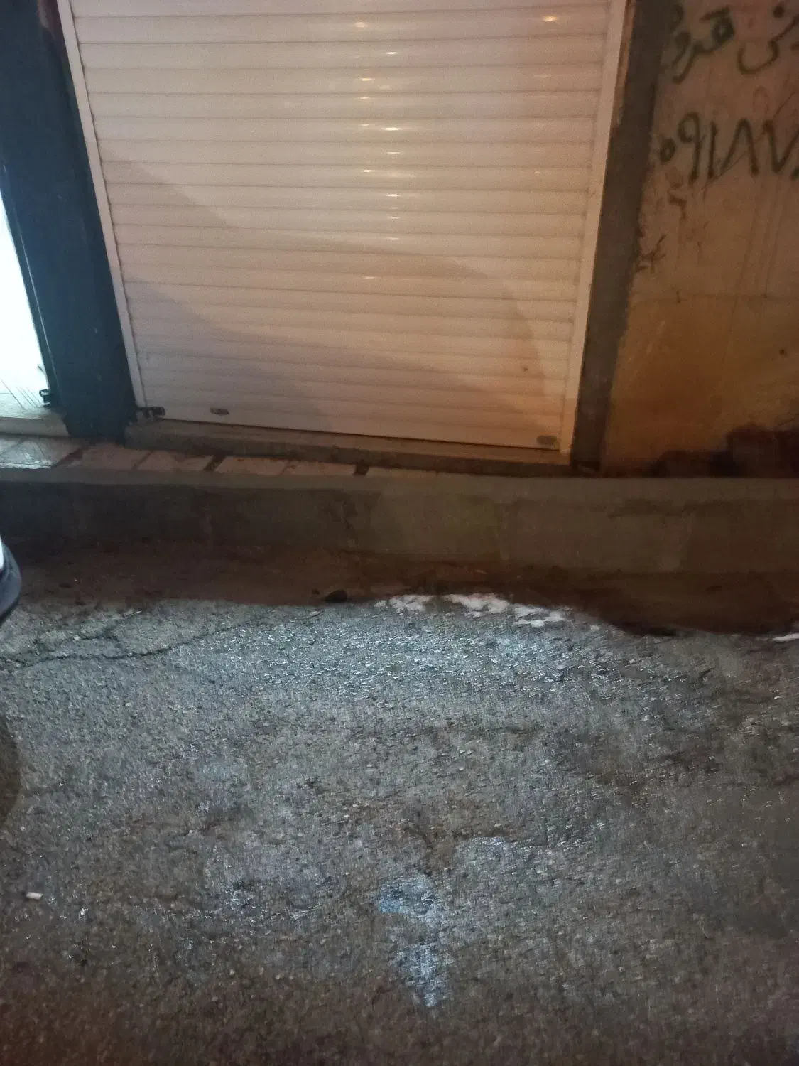 پیدا شدن سگ|حیوانات|یاسوج, |دیوار