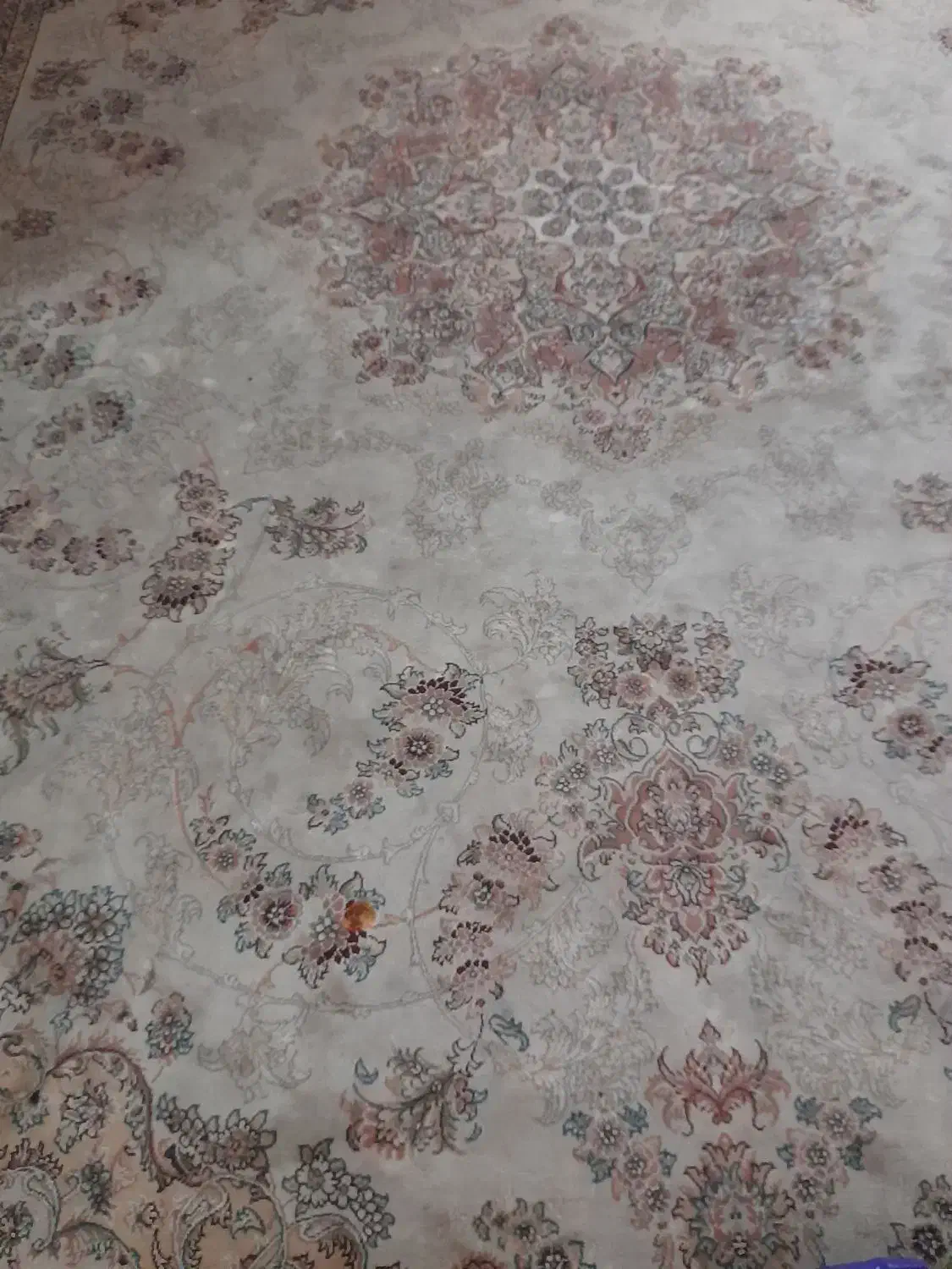 لوازم خانگی|فرش|قزوین, |دیوار