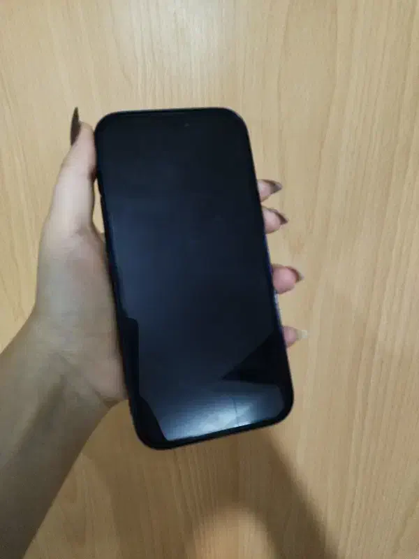 ایفون ۱۷پرومکس حافظه ۵۱۲|موبایل|اصفهان, اشکاوند|دیوار