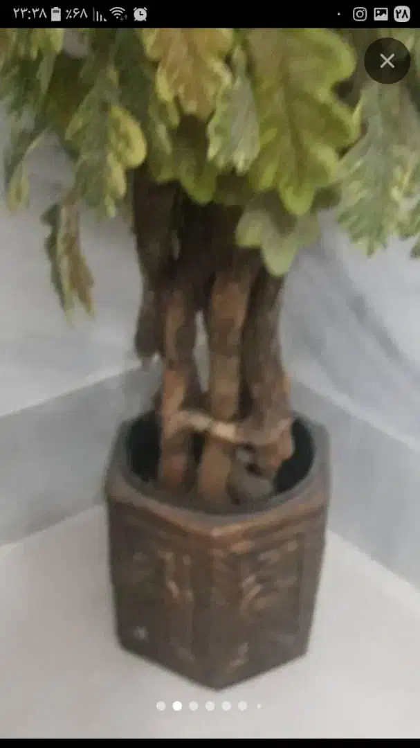 گل مصنوعی|گل مصنوعی|قوچان, |دیوار