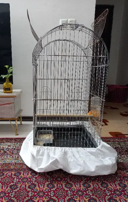 قفس طوطی|لوازم جانبی حیوانات|ملارد, |دیوار