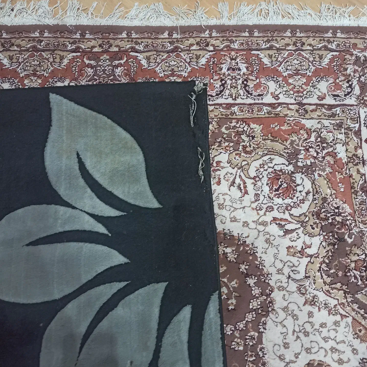 فرش|فرش|رشت, ولکس|دیوار