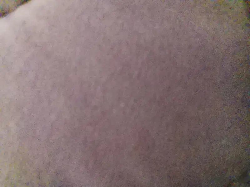 موکت دست دوم|موکت|شوش, |دیوار