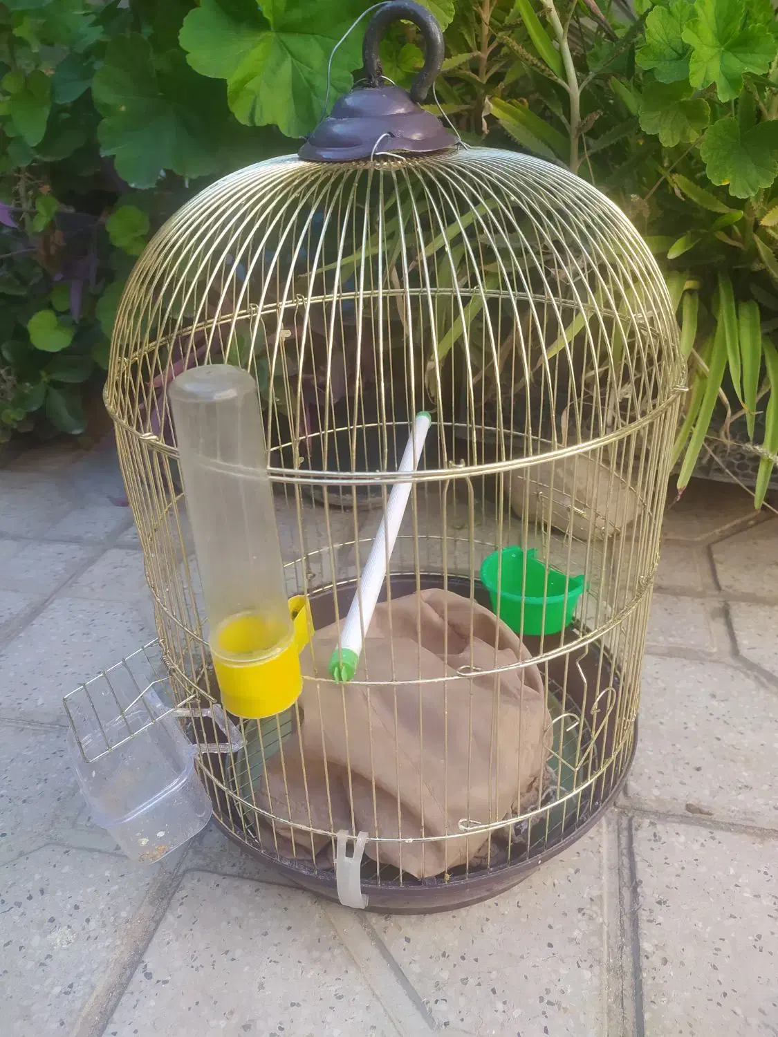 قفس|لوازم جانبی حیوانات|شیراز, عادل آباد|دیوار