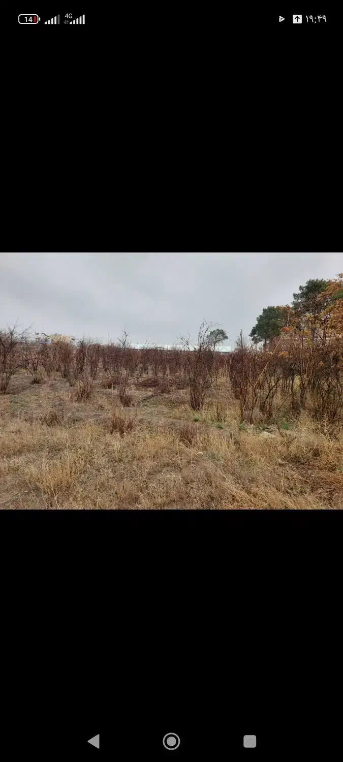 کود حیوانی قیمت مناسب|خدمات باغبانی و درختکاری|شهریار, کهنز|دیوار