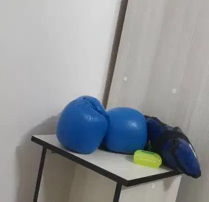 دستکش کاملاً نو بوکس|تجهیزات ورزشی|زاهدان, |دیوار