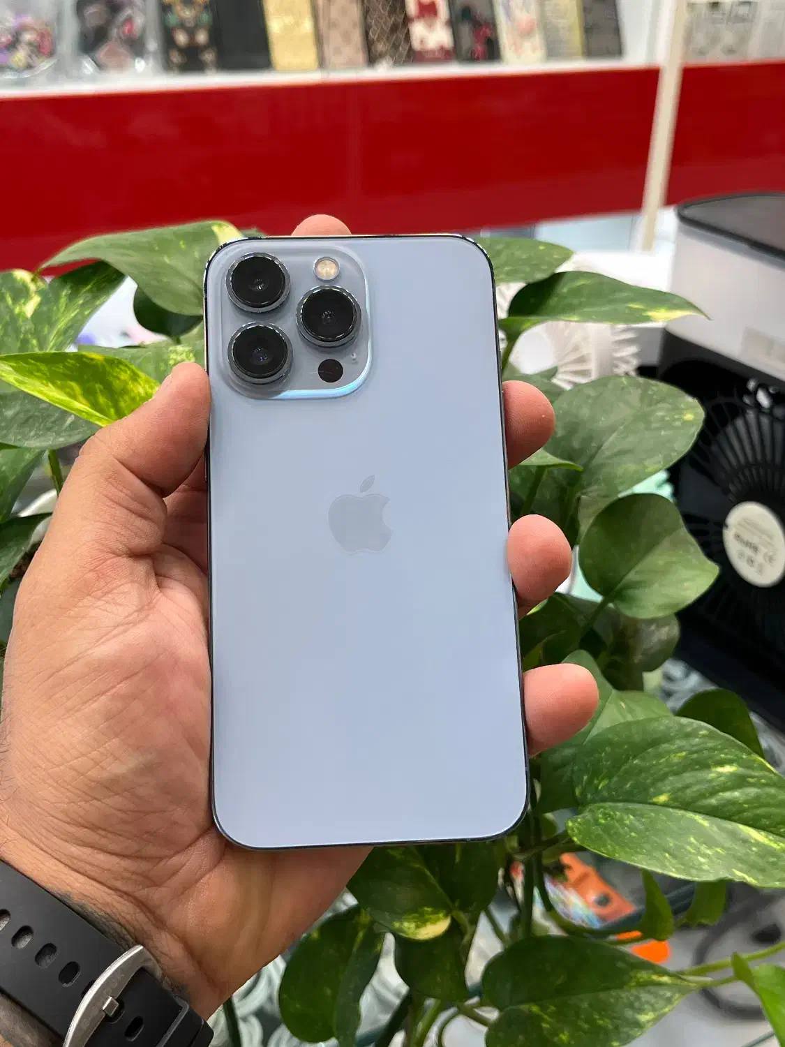 Iphone 13pro LLa|موبایل|شیراز, زند|دیوار