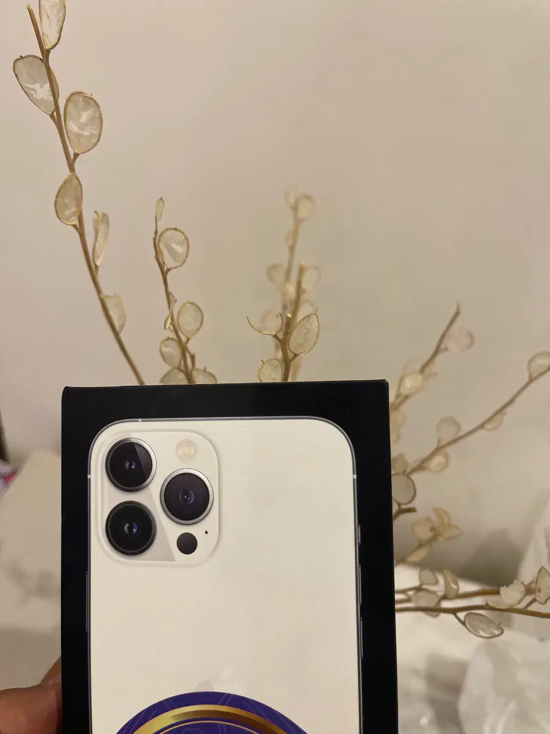 آیفون ۱۳ پرو مکس آکبند پلمپ ۱ ترابایت باتری ۱۰۰|موبایل|تهران, فرمانیه|دیوار