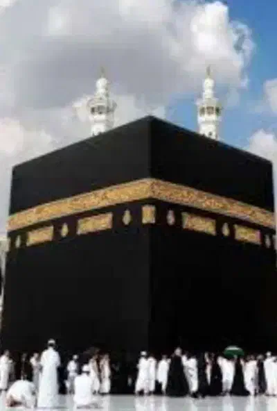 فروش فیش حج|تور و چارتر|بهشهر, |دیوار