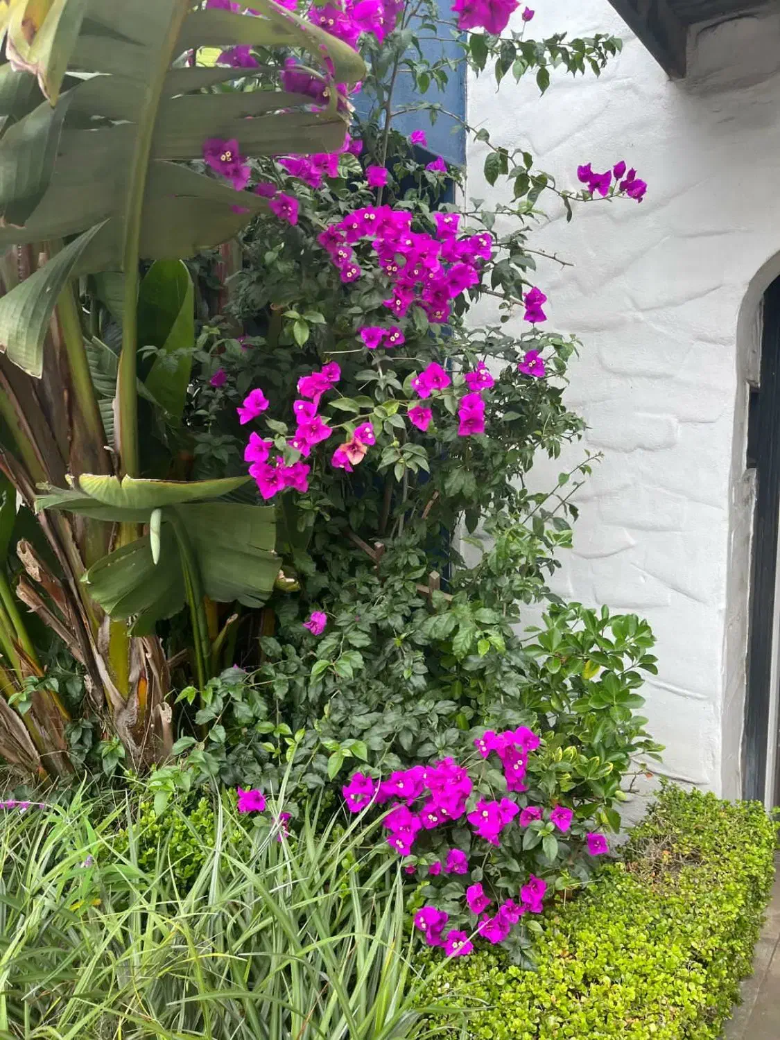 مغازه ۳۱متری بر اصلی لواسان|فروش مغازه و غرفه|لواسان, |دیوار