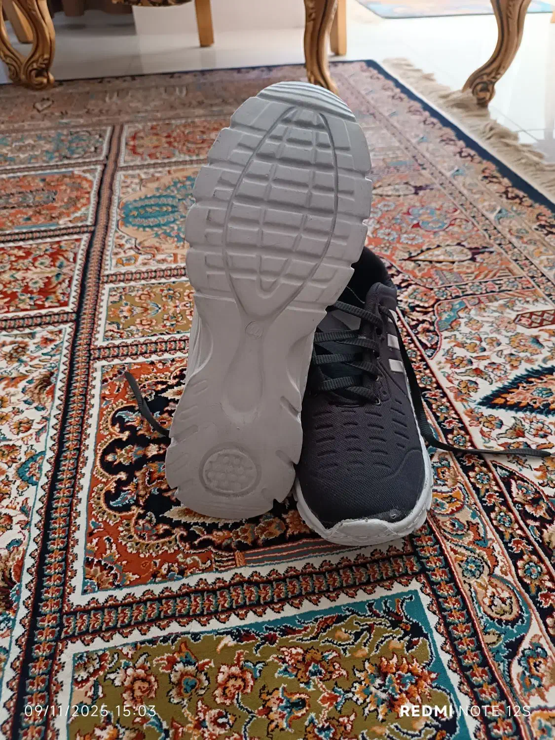 کفش|کیف، کفش، کمربند|بیرجند, |دیوار