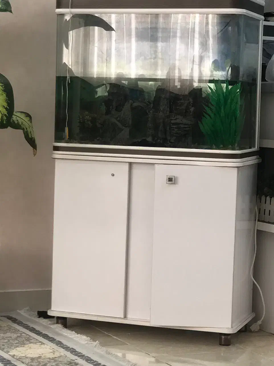 اکواریوم شیک|ماهی|بندرعباس, |دیوار