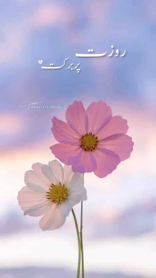 جویای کار|فعالیت داوطلبانه|شیراز, شهرک گلستان|دیوار