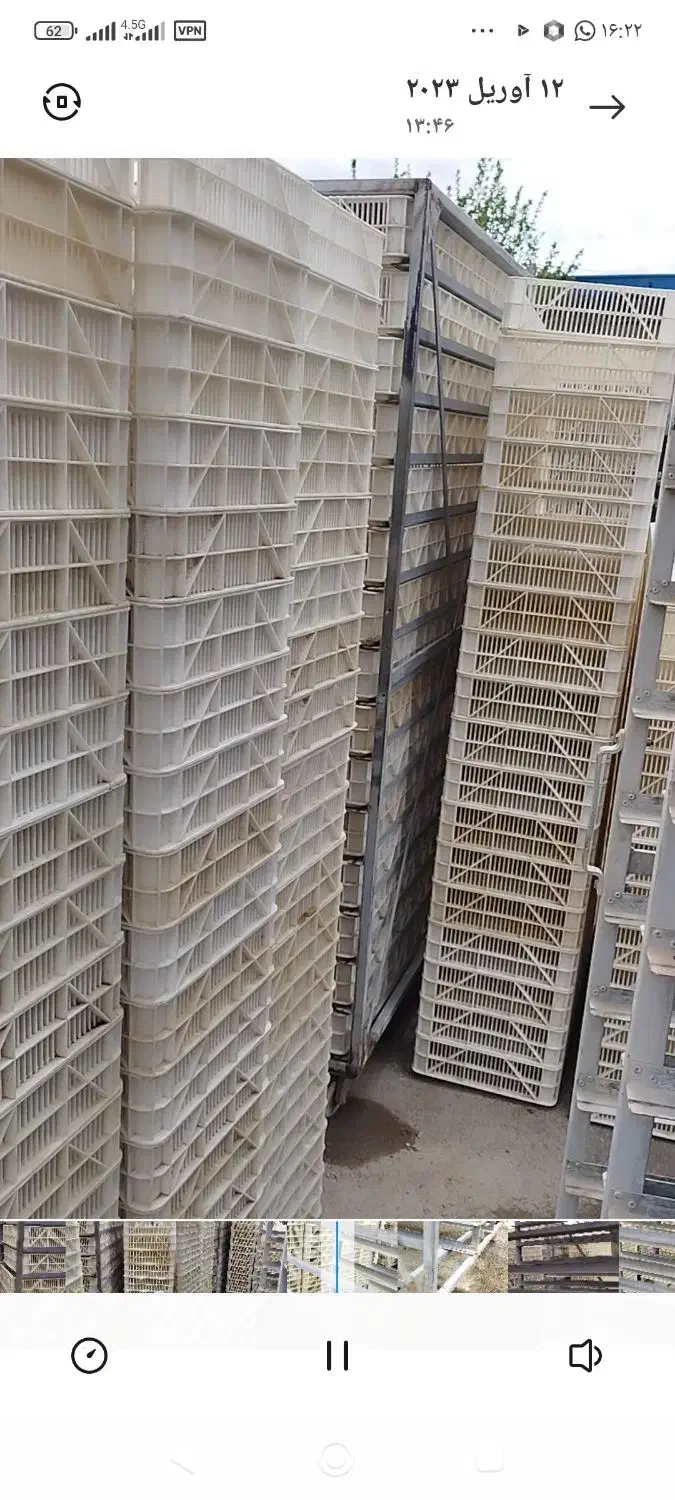 راک ستر هچر جوجه کشی سبد جعبه شانه مرغ بلدرچین کبک|لوازم جانبی حیوانات|تهران, پارک شهر|دیوار