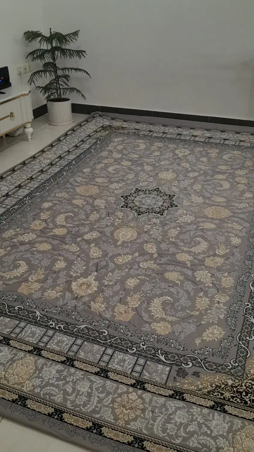 روفرشی|روفرشی|صحنه, |دیوار