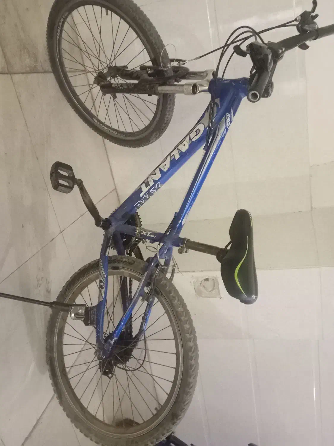 دوچرخه 24|دوچرخه، اسکیت، اسکوتر|تربت جام, شهید مدرس|دیوار