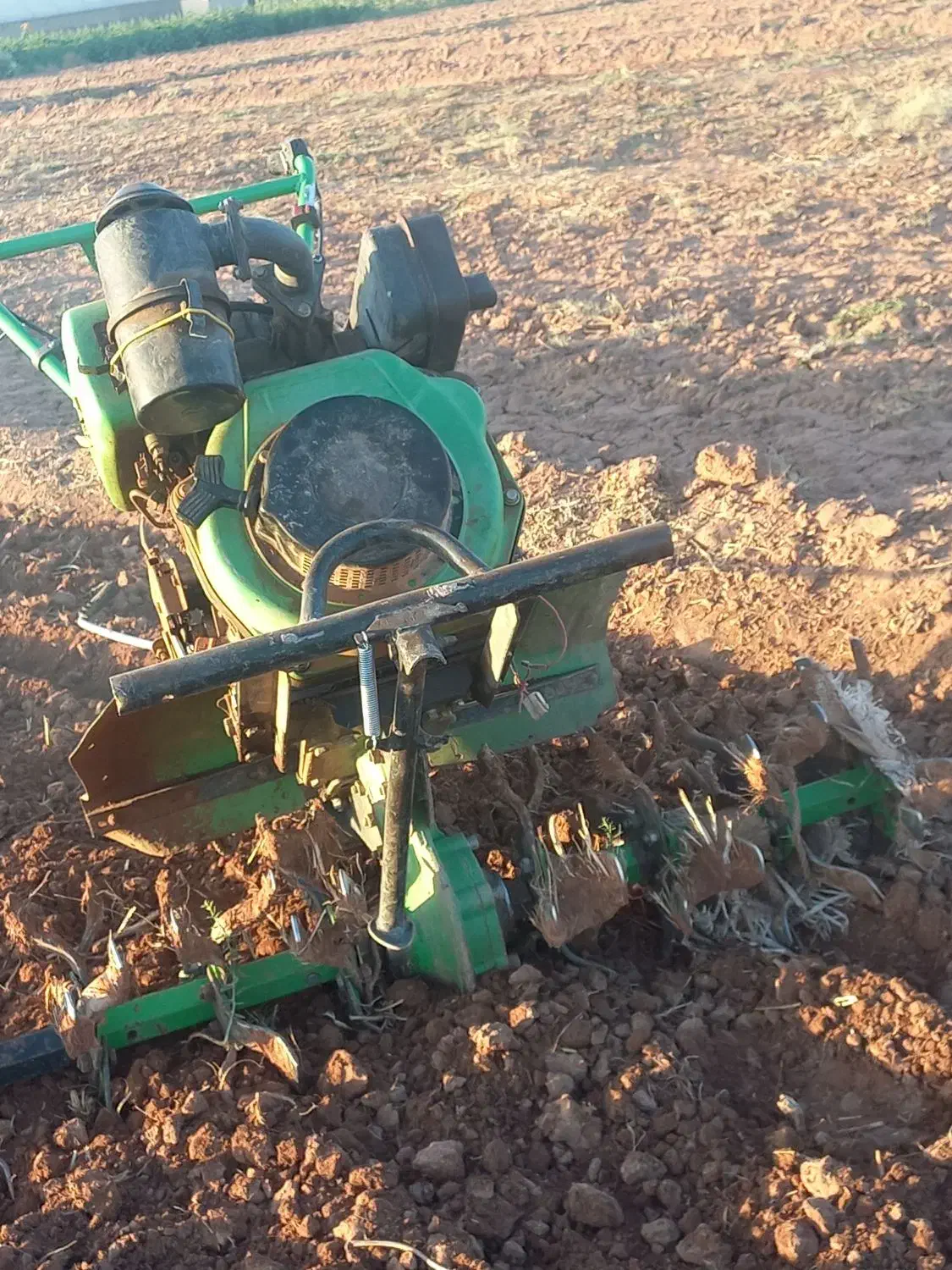 شخم زدن زمین زعفران با دستگاه ۷/۵سبک با تیغه مخصوص|خدمات باغبانی و درختکاری|نیشابور, فضل|دیوار