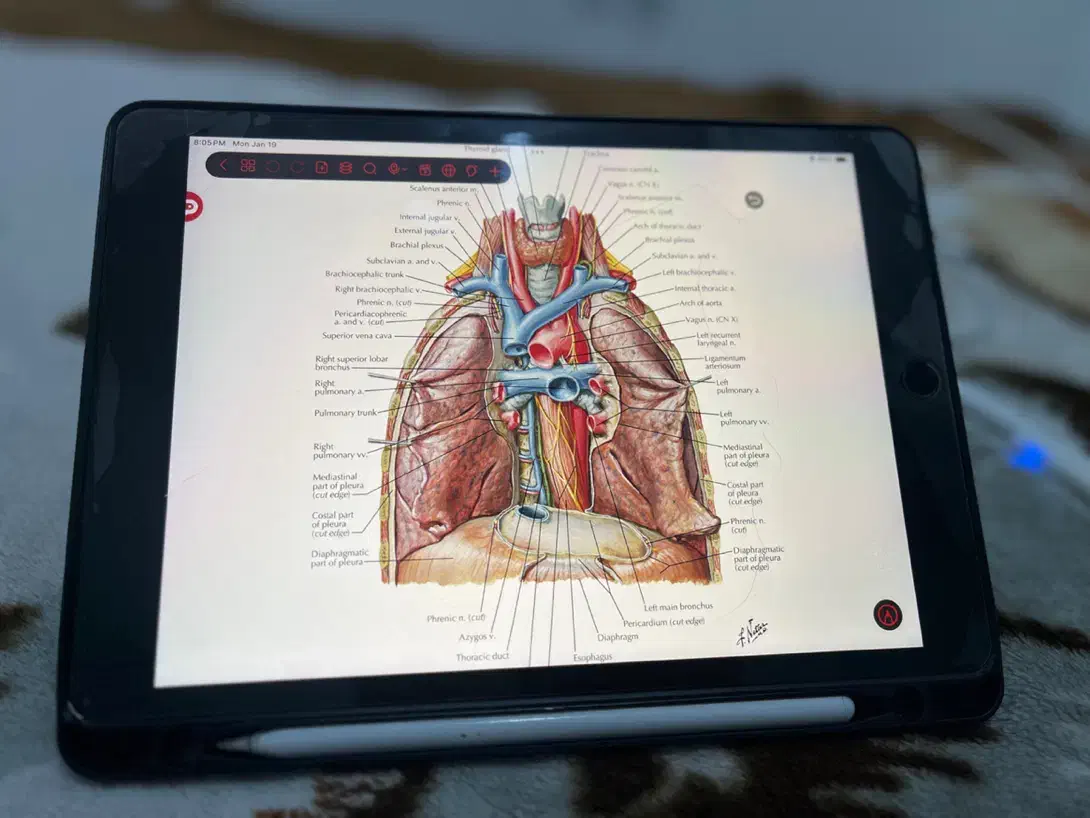 تبلت اپل آیپد ۹|تبلت|کرمانشاه, |دیوار