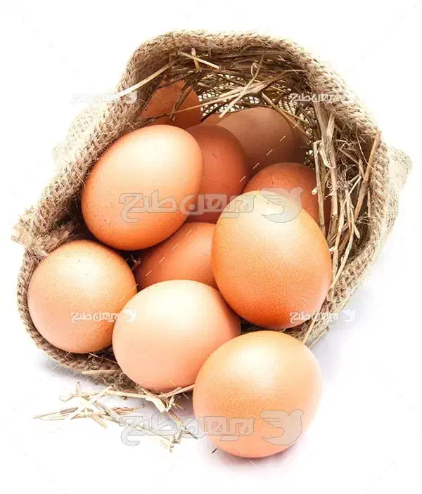 تخم مرغ رسمی شمال|خوردنی و آشامیدنی|قم, دورشهر|دیوار