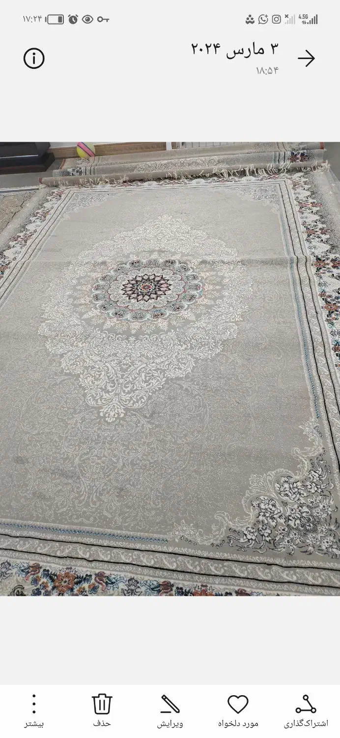 قالی 700شانه|فرش|رامشیر, |دیوار