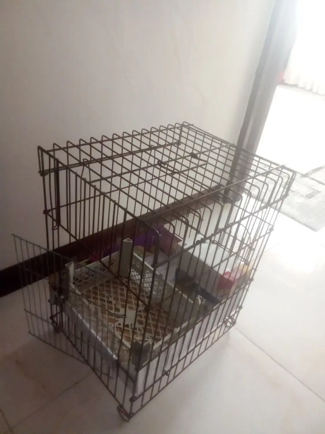 قفس عروس هلندی|لوازم جانبی حیوانات|اسلام‌شهر, شهرک انبیا|دیوار