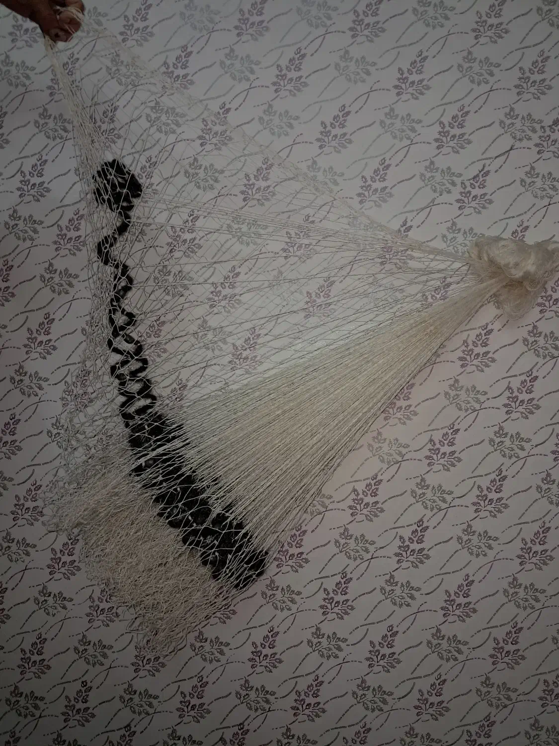 سالی ماهگیری|ماهیگیری|کلاچای, |دیوار