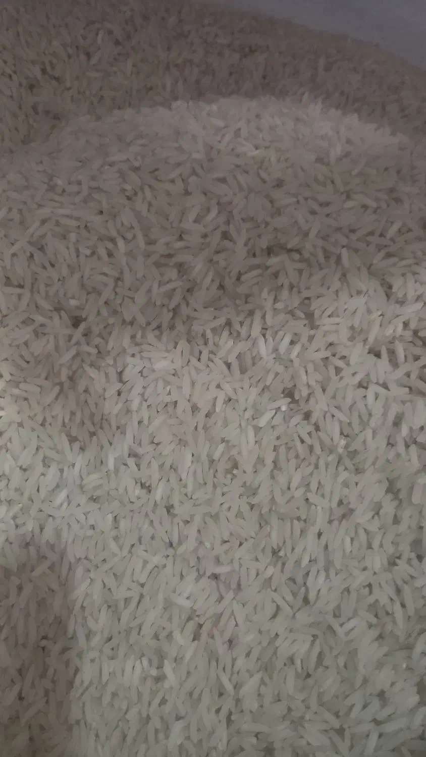 برنج هاشمی دره رود اصل درجه یک تضمینی|خوردنی و آشامیدنی|پارسآباد, |دیوار