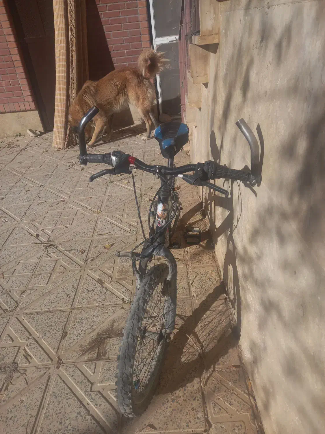 دوچرخه بیست  سالم|دوچرخه، اسکیت، اسکوتر|فیروزکوه, |دیوار