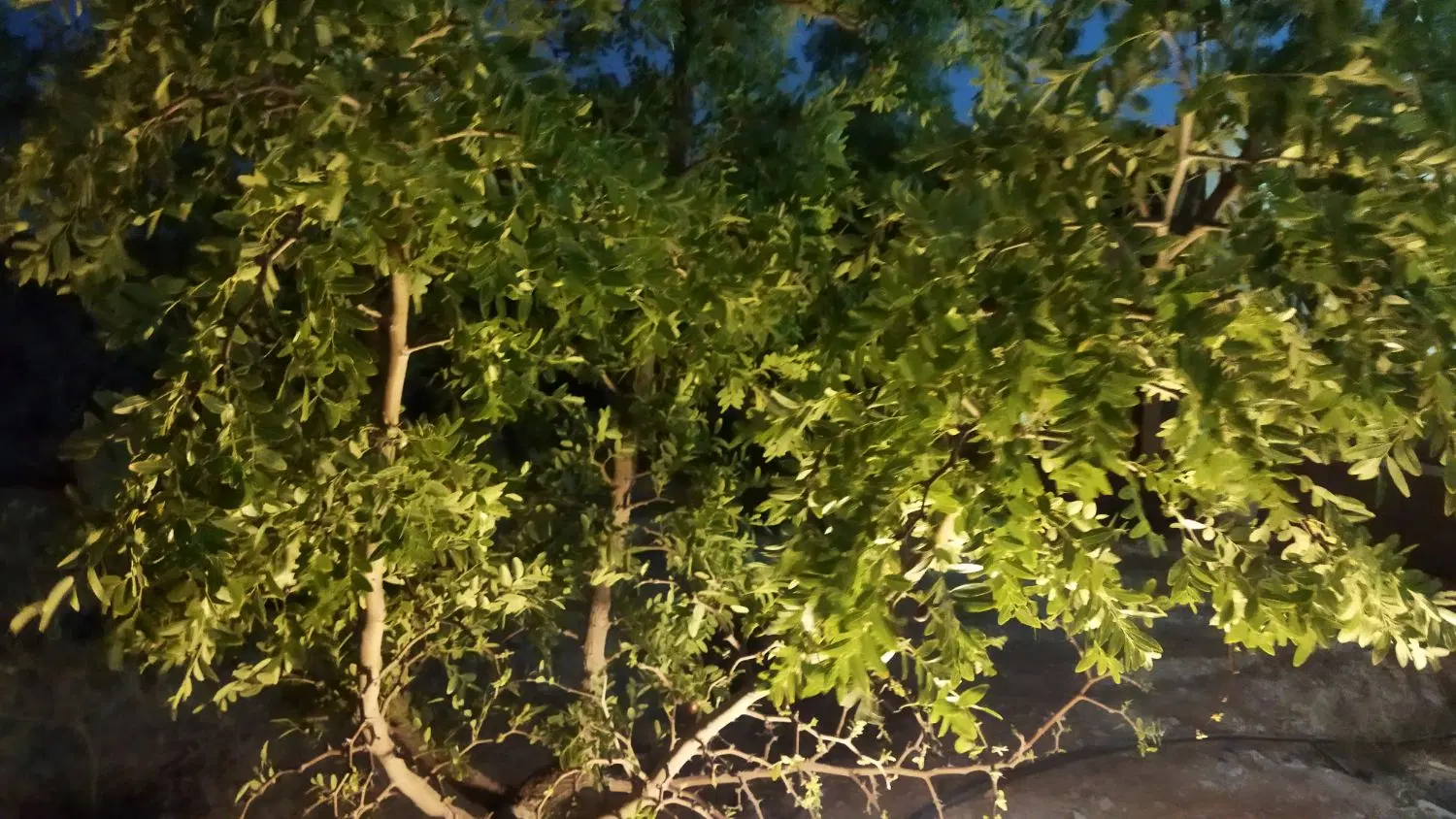تصویر 5